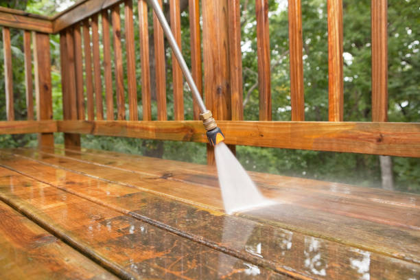 Best Exterior Home Cleaning  in New Paris, IN